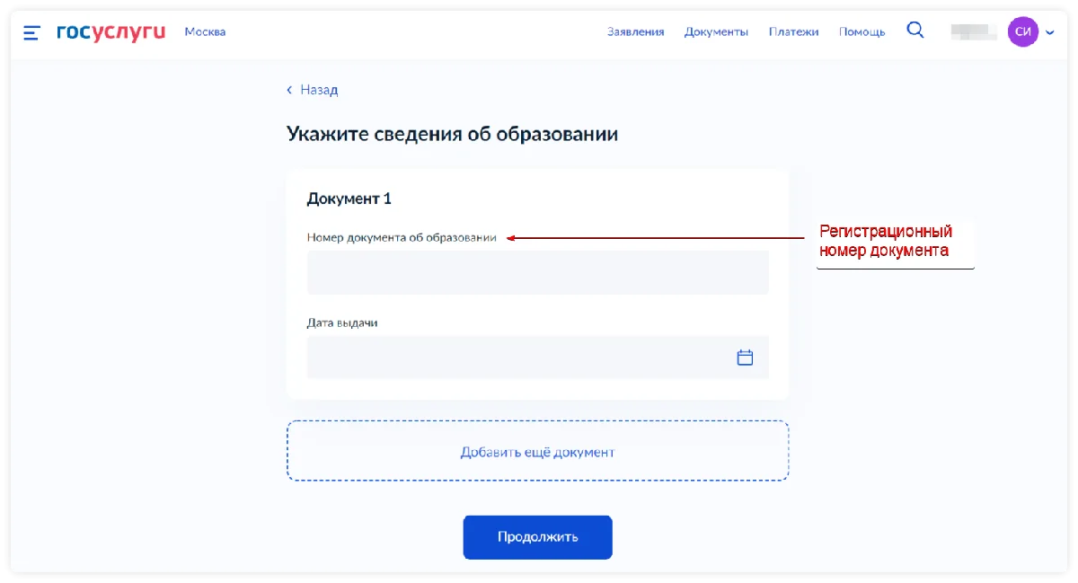 1. Не понятно какой номер документа вносить при подаче заявления