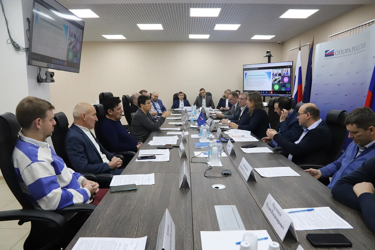 Какие проблемы были обозначены
